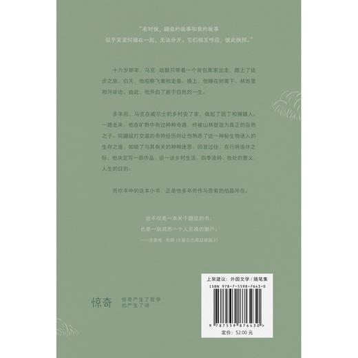 如何捉鼹鼠 商品图4