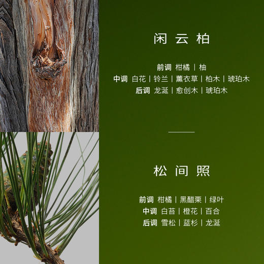 【四季可用】浴见 凝润修护身体油霜-日销 200g/瓶（松间照/闲云柏） 一抹化油松柏入息 商品图1