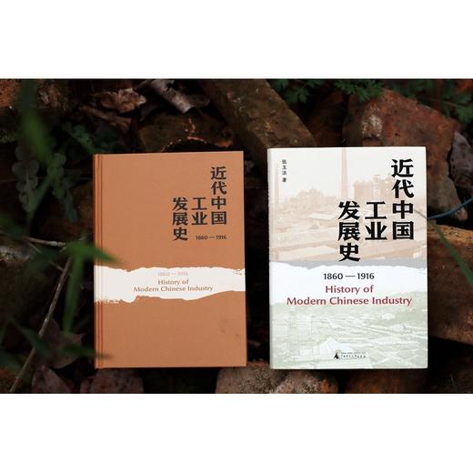 大学问·近代中国工业发展史（1860—1916）（著名历史学家张玉法先生学术代表作，吕芳上、张瑞德、王奇生等学者联袂推荐） 商品图2