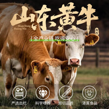 牛鲜尊&大伊 山东黄牛牛肉卷净重2斤 肥牛卷火锅健身国产牛肉 /生鲜 /猪牛羊肉 /牛肉 商品图4
