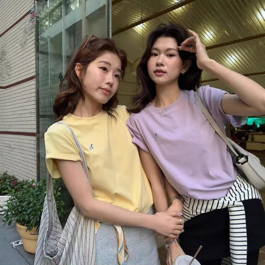 韩系小马刺绣圆领短袖T桖女夏季新款设计款宽松休闲正肩体恤上衣   NDK-T2001 商品图0