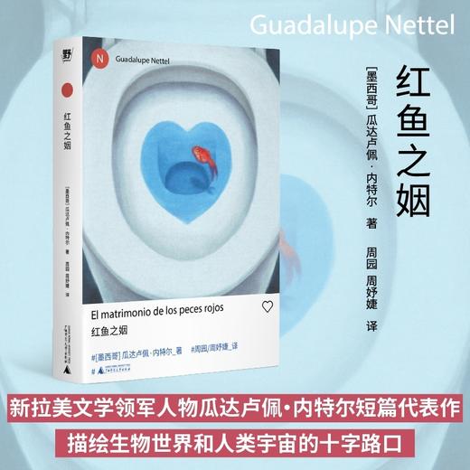 瓜达卢佩·内特尔作品集 独生女儿/红鱼之姻/真正的孤独 入围国际布克奖短名单 商品图8