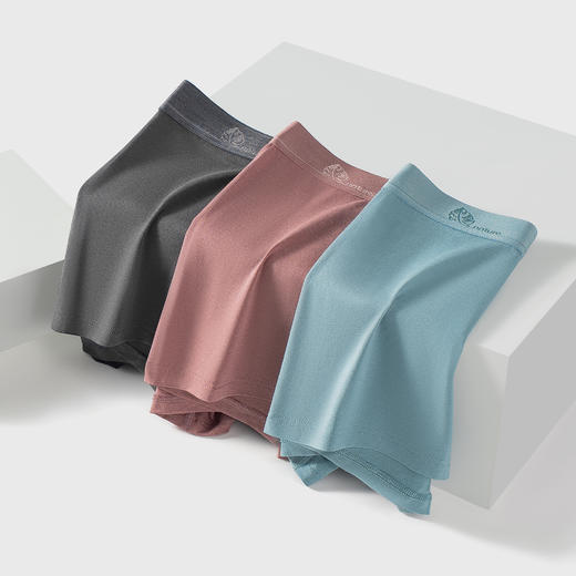 连绵·男士10A抗菌汉麻棉超舒平角裤（3条装） 商品图4