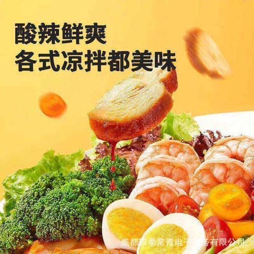 海天酸辣凉拌汁脂肪505ml一瓶海鲜捞汁凉拌菜调味蘸料家用大瓶装 商品图2