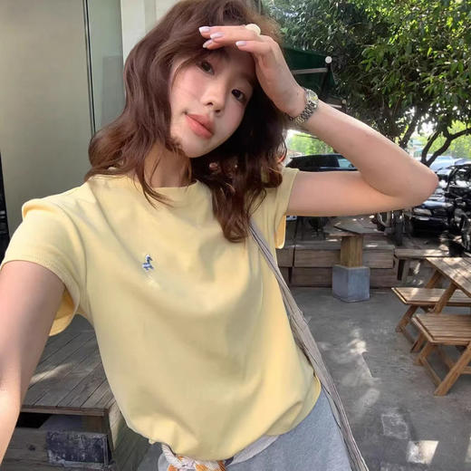 韩系小马刺绣圆领短袖T桖女夏季新款设计款宽松休闲正肩体恤上衣   NDK-T2001 商品图2