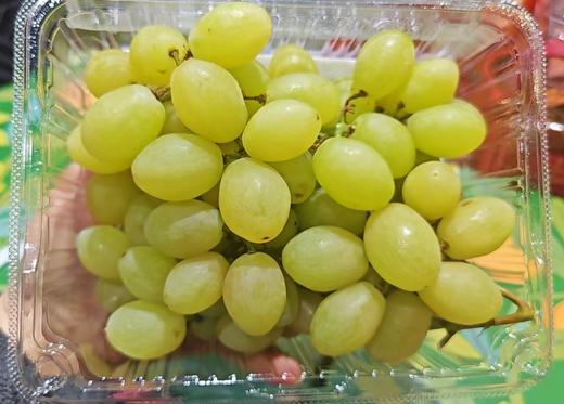 周四取货：【地得青提】一盒1斤左右，无籽，超甜，颗颗小糖豆。 商品图6