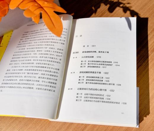 用游戏打败游戏 ：青少年游戏成瘾早期干预手册 商品图2