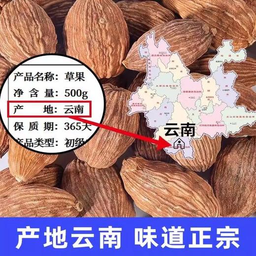 云南草果香料商用500g配料大全炖肉火锅烧菜川菜佐料香辛料批发 商品图3