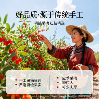 同仁堂品牌 北京同仁堂特级红枸杞子500克正宗宁夏特产枸记养生茶送长辈 商品图7