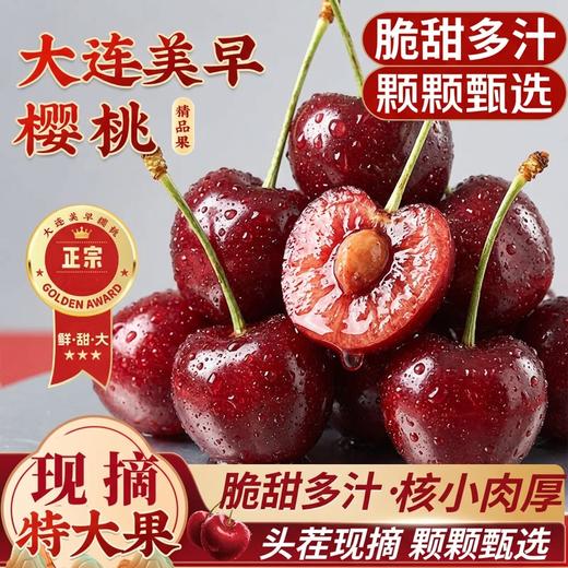 【大连美早樱桃】核心产区10年老树自然熟，原生态种植，无催熟无膨大剂。（72小时内发货，节假日顺延） 商品图1