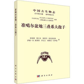 准噶尔盆地三叠系大孢子