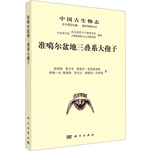 准噶尔盆地三叠系大孢子 商品图0
