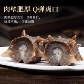 四季温补 八珍之首 刺粗肉厚 开袋即食不挂冰海参 大连原产有机辽参