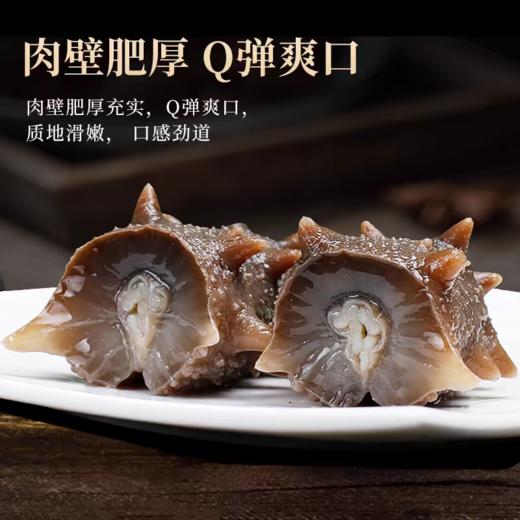 四季温补 八珍之首 刺粗肉厚 开袋即食不挂冰海参 大连原产有机辽参 商品图0