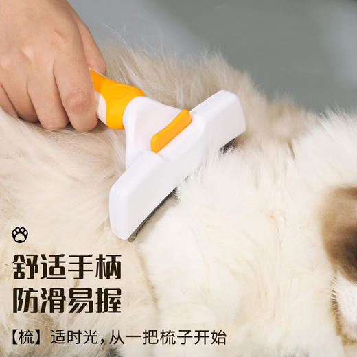 现货批发宠物开结梳狗狗猫咪梳子一键除毛去浮毛宠物梳子宠物用品 商品图2