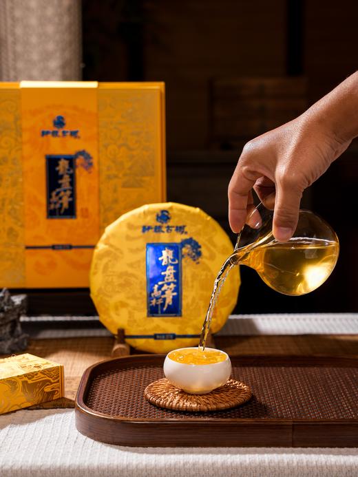 4月17日中午12点【龙盘箐高杆】2025年龙盘箐高杆古树，中国茶叶博物馆收藏产品，天猫旗舰店售价：3600元/饼，内部老客首发尊享渠道价仅1888元/饼，357克/饼，6饼/件 商品图8