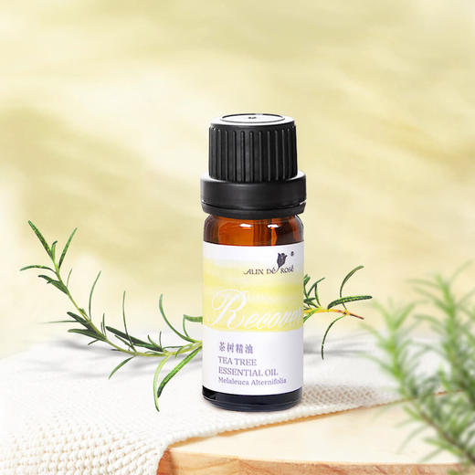 【送扩香木】玫瑰人生 植萃香薰精油 10ml（薰衣草、迷迭香、尤加利、葡萄柚、甜橙、柠檬、茶树） 商品图2