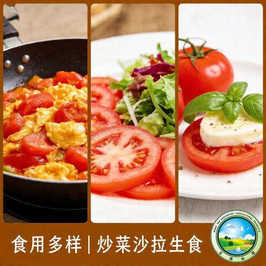 【预售】东滩沙瓤大番茄 商品图4