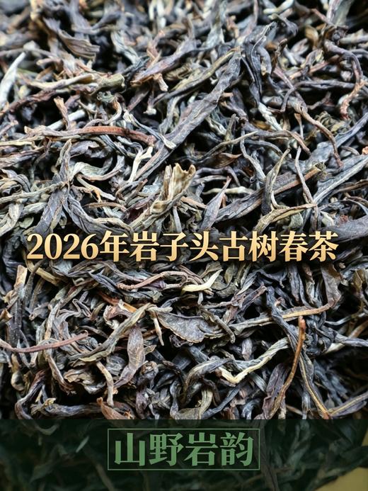 2026头春古树【岩子头】石缝里长出来的镇康顶流！ 商品图1