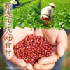 【直供】元气森林好自在系列自在水三口味可选500ml*15瓶（不支持口味拼装） 商品缩略图2