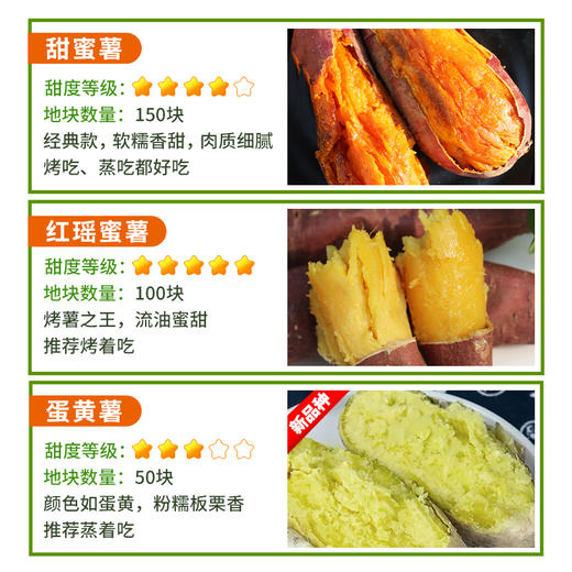 密云红薯地2026年开始认领啦！限量300块  先到先得 认领30㎡/块  农耕体验乐趣多！ 商品图1