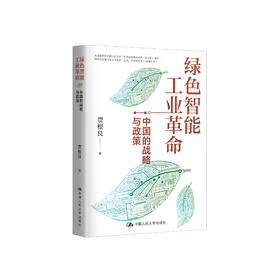 《绿色智能工业革命：中国的战略与政策》