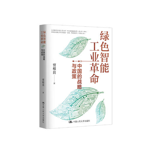《绿色智能工业革命：中国的战略与政策》 商品图0