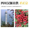 正宗四川汉源红花椒 特麻特香 开口率99% 商用 大红袍 红麻椒颗粒 商品缩略图2