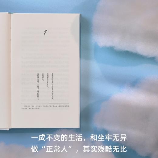 捕云记（《献灯使》系列，世界文学新标杆多和田叶子魅惑奇作，亲身经历改编小说！给逃避型人格和自毁冲动的保留地，现代人最后一场梦与冒险 商品图5
