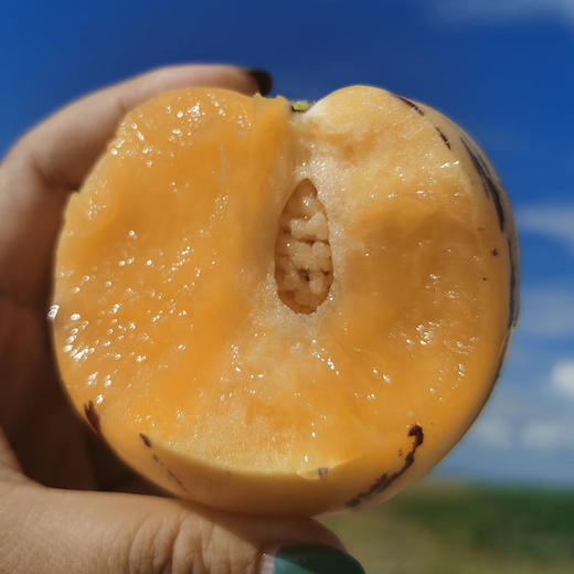 云南石林  风化石人参果  清香多汁  腹内无核  净重3斤中果 商品图2