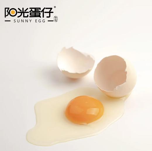 阳光蛋仔可生食鲜鸡蛋30枚装 1.5kg 商品图1