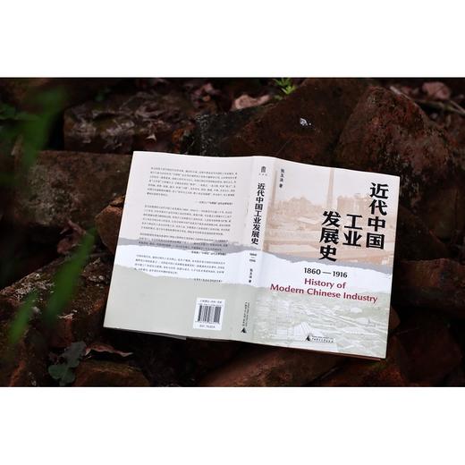 大学问·近代中国工业发展史（1860—1916）（著名历史学家张玉法先生学术代表作，吕芳上、张瑞德、王奇生等学者联袂推荐） 商品图4