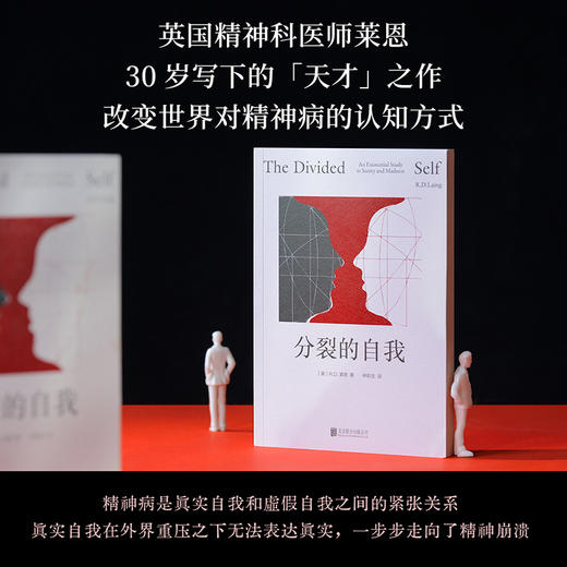 分裂的自我 回避型人格、高敏感、存在性焦虑人群必读。 商品图2