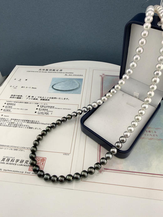 【挚友限定】60cm熊猫配色四季彩串珠项链 商品图1