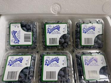 【限时上架】澳洲纯甜蓝莓 125g*12盒 果径18-20mm左右
