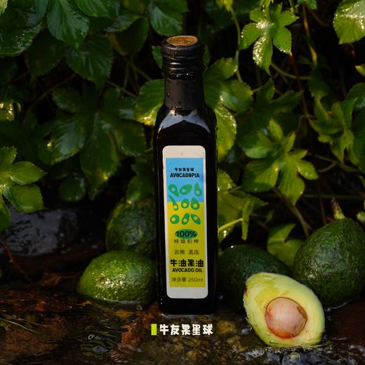 云南孟连特级初榨牛油果油100%牛油果油 物理冷榨工艺 商品图4