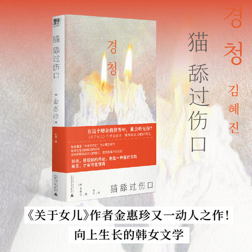 猫舔过伤口（《关于女儿》作者又一动人之作！向上生长的韩女文学：即使坏掉的人生，也有值得守护的瞬间。韩国头部网络书店年度推荐！） 商品图0