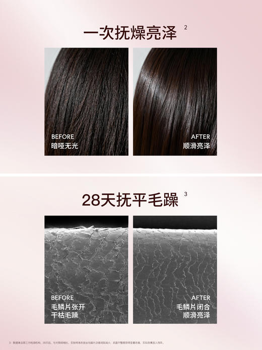 【恬趣轻奢专属】发玛21山茶油菁纯滋养护发精油  95ml 送按摩梳 商品图4