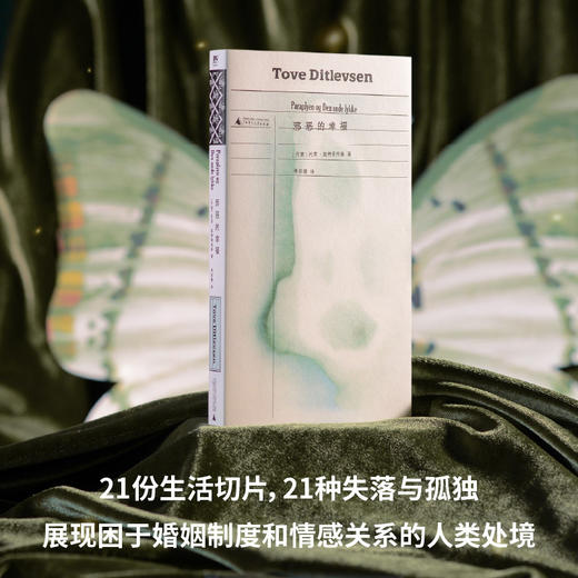 邪恶的幸福（《哥本哈根三部曲》作者托芙·迪特莱弗森短篇代表作，书写女性生活中的希望与失望，展现困于婚姻制度和情感关系的人类处境） 商品图1