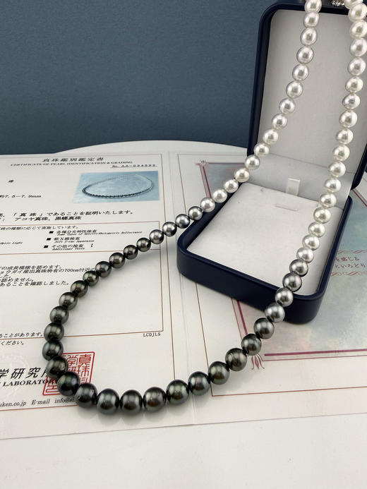 【挚友限定】60cm熊猫配色四季彩串珠项链 商品图0