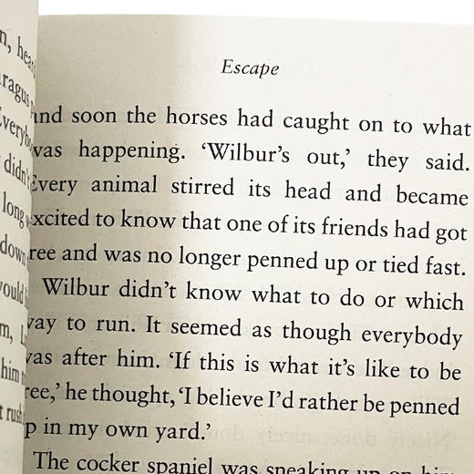 英版 夏洛特的网 英文原版 Charlotte's Web 夏洛的网 英语原版 儿童文学小说 进口英语课外阅读书籍 纽伯瑞奖 E B White 怀特 商品图4