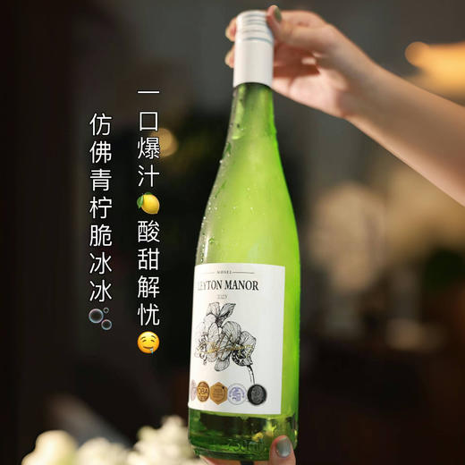 热卖中！！【德国进口】列顿庄园摩泽尔青柠脆冰冰·雷司令半甜白 商品图1
