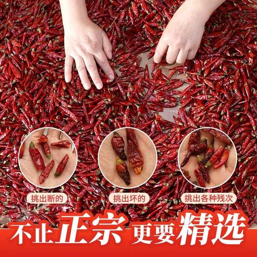 四川小米辣500g商用朝天椒正宗七星椒段红辣椒干货椒商用优选 商品图2