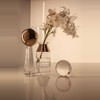 【Tom Dixon】TANK铜圈装饰玻璃花瓶 商品缩略图0
