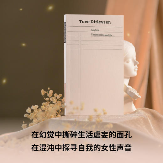 面孔（《哥本哈根三部曲》作者托芙·迪特莱弗森长篇代表作，理智地描摹疯狂，疏离地评估澎湃的情感：一位精神崩溃的女作家自我救赎的心灵之旅 商品图2