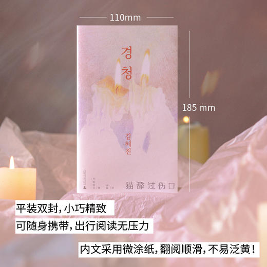 猫舔过伤口（《关于女儿》作者又一动人之作！向上生长的韩女文学：即使坏掉的人生，也有值得守护的瞬间。韩国头部网络书店年度推荐！） 商品图3