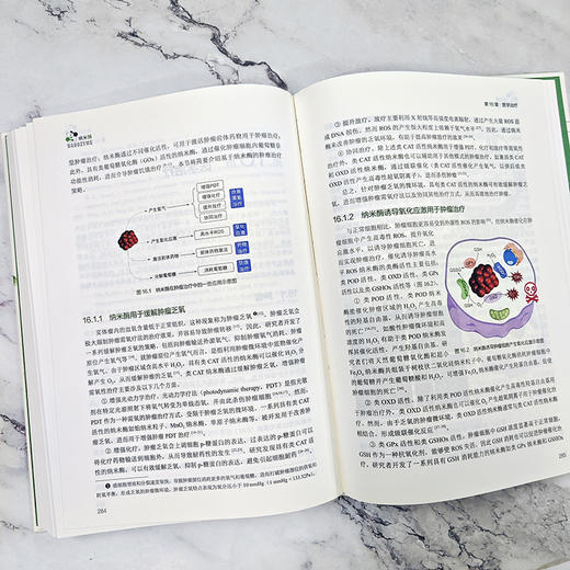 纳米酶 商品图2