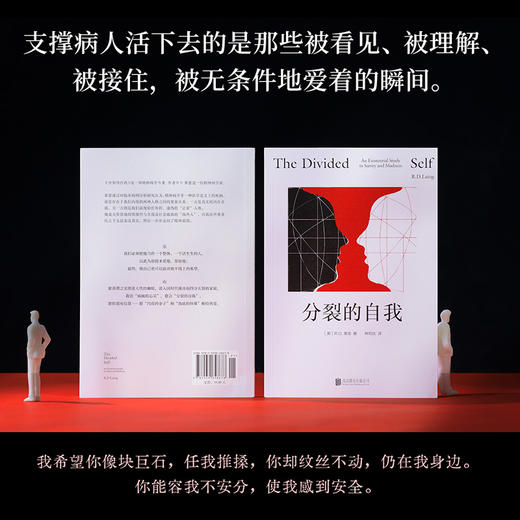 分裂的自我 回避型人格、高敏感、存在性焦虑人群必读。 商品图4