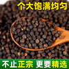 黑胡椒颗粒正宗海南500g纯正碎特产商用胡椒牛排现磨黑胡椒粒瓶级 商品缩略图2