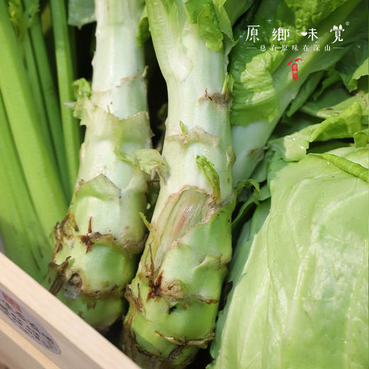 生态本地莴笋/三拼组合（农场直发-顺丰包邮） | 多种规格，成都郫都区基地，【原乡农场，自产自销】 商品图9